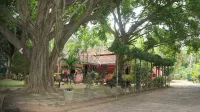 Villa Sunshine Hotel - Villas