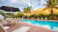Best Western Plus Miami-Doral/Dolphin Mall - Kitchens