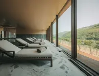Torel Quinta da Vacaria – Douro Valley - spa