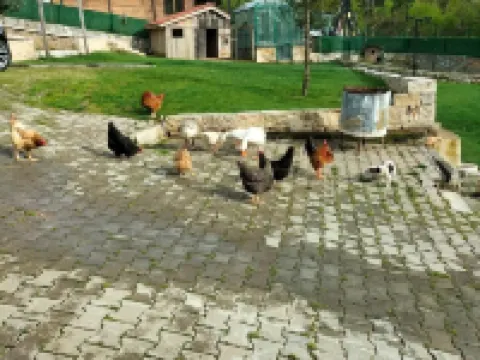 Çandarlı Çiftliği İznik otelleri