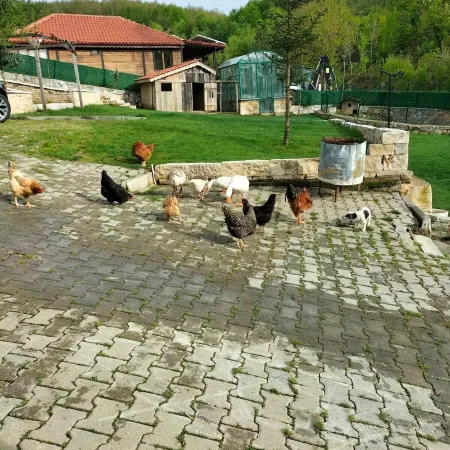 Candarlı Çiftliği
