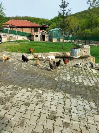 Candarlı Çiftliği Отели в г. Basiskele