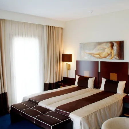 Hotel Moliceiro