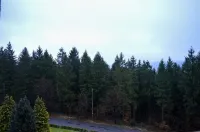 Carea Residenz Hotel Harzhöhe Hotel a Lautenthal