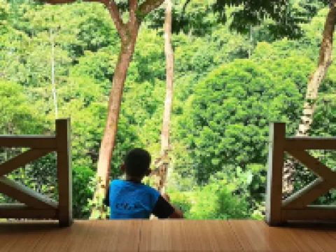 Green Forest Tangkahan Hotels in Langkat Regency