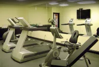 Euro-Suites Hotel - Gym