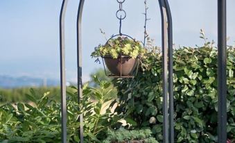 Villa dei Tigli Resort & Spa