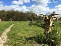 Baby Moon Hotel a Guisborough