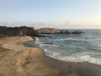 Zoa Hotel - Beach