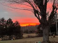 Glamping at Peace In The Valley