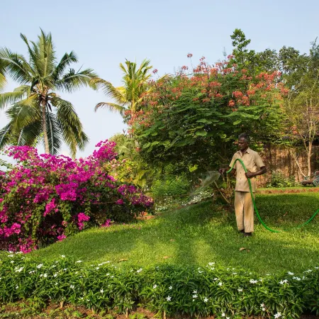 Somatheeram Ayurveda Village