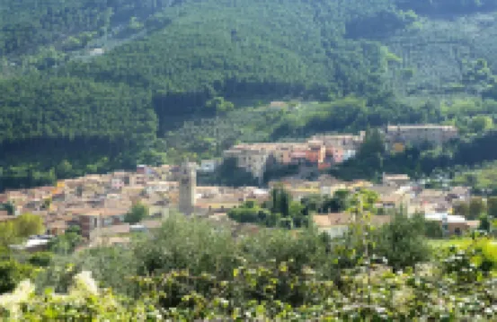 Estate in Monte Serra With Pool & Olive Views