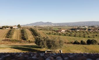 Villa Olivieri B&B Wellness House