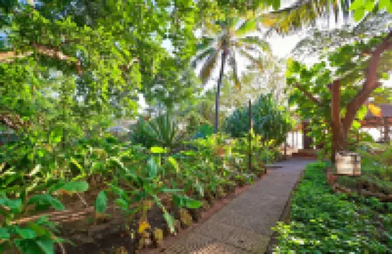 Mediterraneo Boutique Hotel Hotels near Mbezi