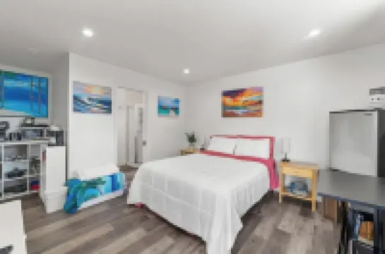 4-bedroom house w/4th room as private separate suite w/POOL