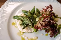 더 프린트 하우스