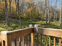 Summer Time! Hot Tub! Game Room, Large Wooded Lot, Hiking, Water Parks