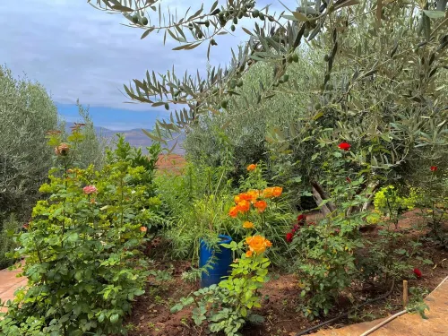 Nice little house with lake view Hotels in Azilal