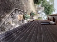 Chalet 1 to 5 persons garden and terrace with pergola in residential park Hotels in Soulac-sur-Mer