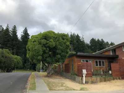 Warm Modern Retreat Nestled by Rotorua’s Redwoods with Cozy Retro Charm Hotel a Lynmore