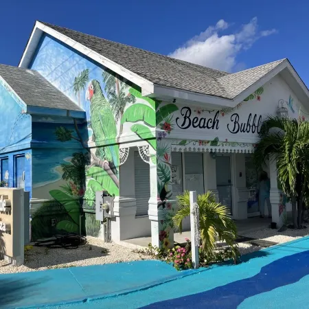 The Harvey Nicole: Modern Caribbean Ocean Front Condo Grand Cayman.