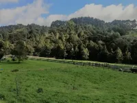 Nature's lap in Te Arai