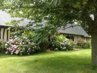 Longère en Pays de Caux the discreet charm of Normandy