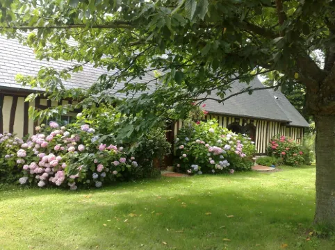 Longère en Pays de Caux the discreet charm of Normandy