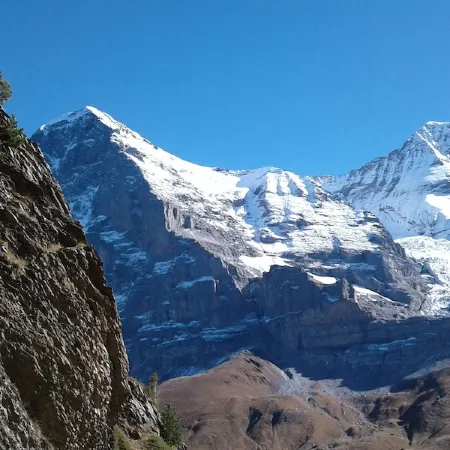 cozy apartment in a quiet location