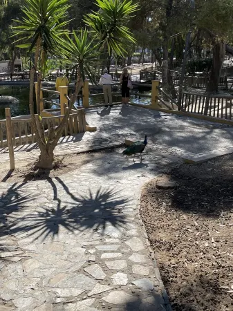 Portico Mar - the Beverly Hills of the Costa Blanca