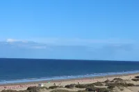 Dune green flower Maspalomas Hotel a Comarca Sur