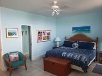 Gorgeous Caribbean 2-Bedroom Condo W/ Spectacular Ocean View Hotels in 