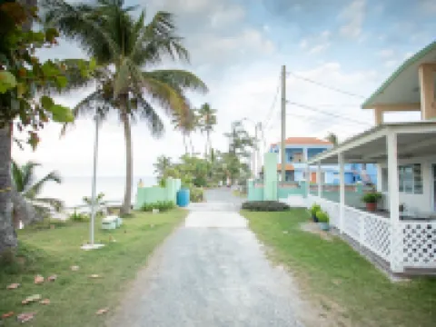 PELICAN REEF BEACHFRONT 2 BED 1 BATH A/C ON SMALL FARM, SURF RIGHT OUT FRONT Hotels in Aguada