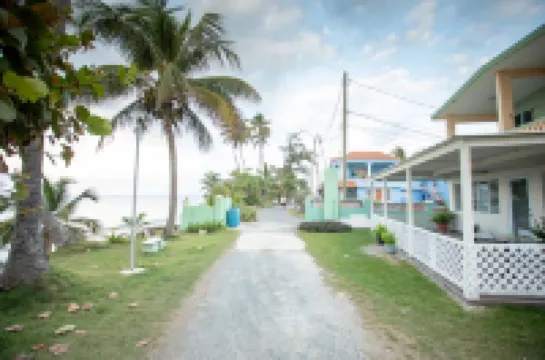 PELICAN REEF BEACHFRONT 2 BED 1 BATH A/C ON SMALL FARM, SURF RIGHT OUT FRONT