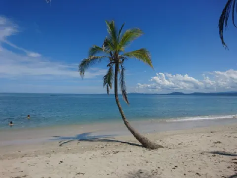 Delightful garden apartment, 2 minute walk from the beach in Cahuita Hotel a 
