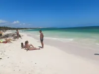 Luxury Large Penthouse,Private Rooftop Patio, Jaccuzzi. Sleeps 6.  2 Free Bikes!