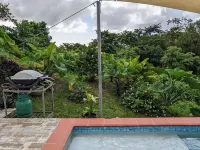 Black Pearl Estate. Unique Caribbean home Отели в г. Ла Феиллет