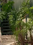 House BLZ Lisbon Beach - Oldhamii - Up to 5 Pax