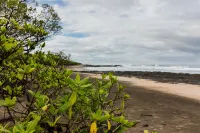 Latica Lodge Hotels in Paraiso
