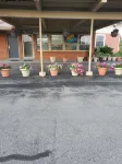 Dollar Inn