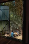 Hamadryade Lodge - breakfast