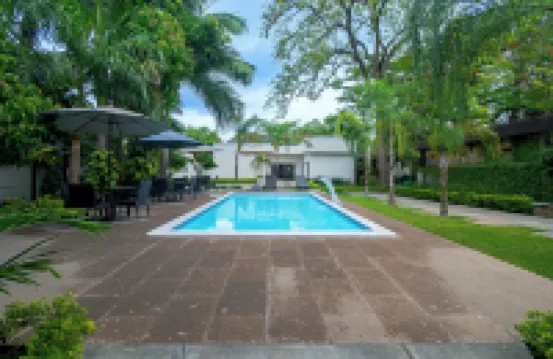 บิซา เอ็กซ์เพรส