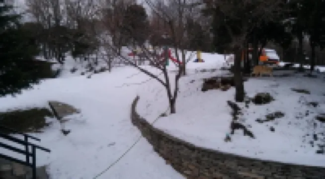 Pangeo Forest Village