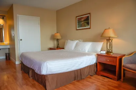 Thunderbird Motor Inn Отели в г. Дункан