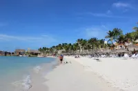 Coconut Inn
