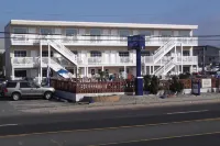 Sea Horse Motel Hotels near Long Beach Island