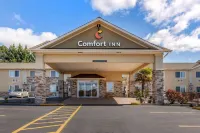 Comfort Inn Roseburg Hotels in Roseburg