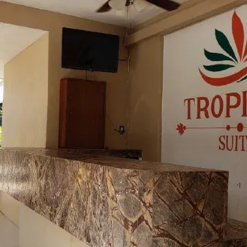 Tropical Suite