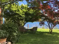 Hotel l'Approdo Hotels in Pettenasco