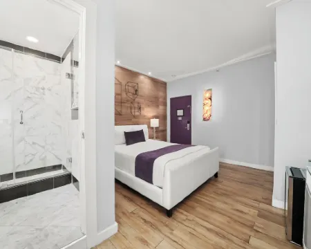 โรงแรมเชลลีย์ โรงแรมในไมอามีบีช